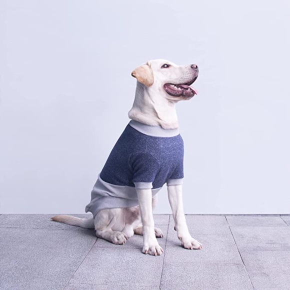 Dog Pullover Sweater - Picture 1 of 5